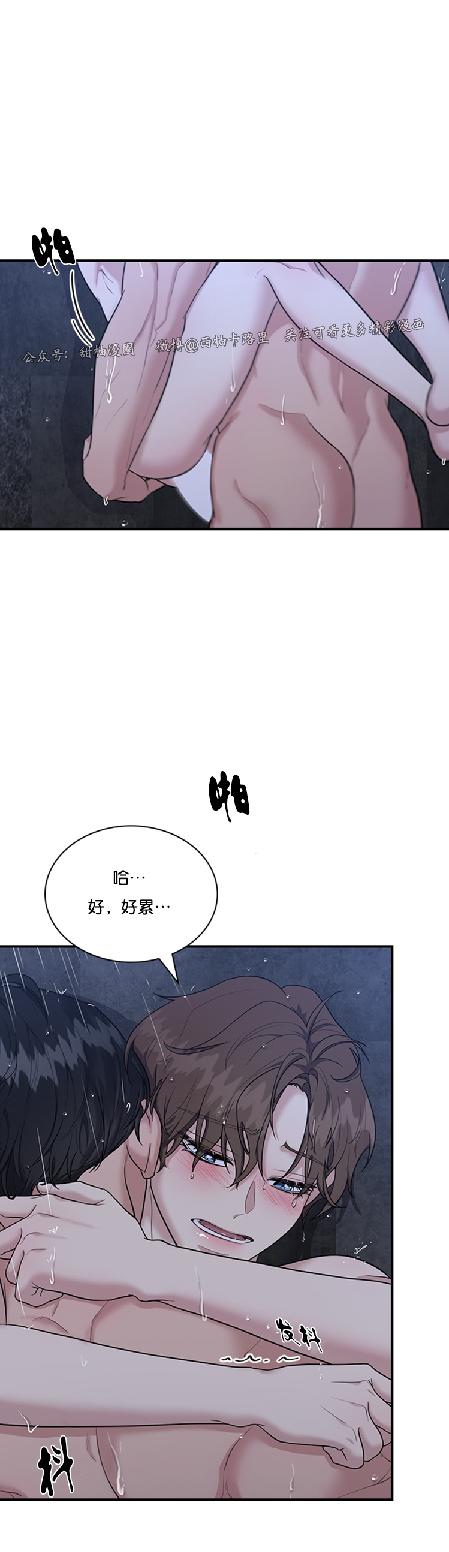 户籍伴侣/户籍友人/户籍室友漫画,第38话3图