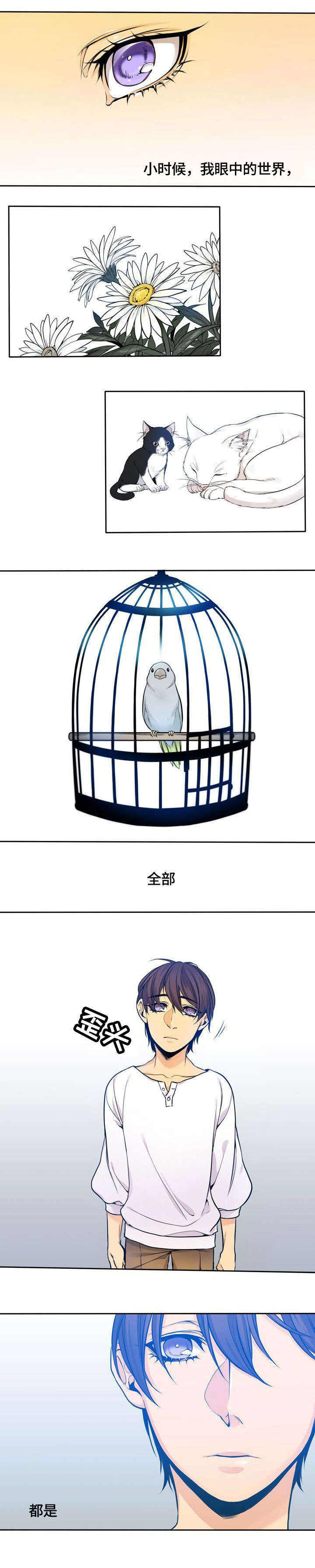 第1章：黑白0