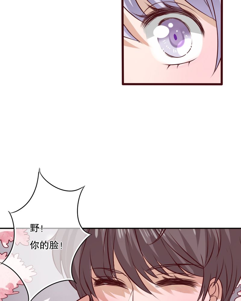 第47章：我爱的人3