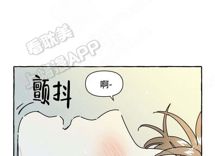 奋不顾身奔向你完整版漫画,第19话5图