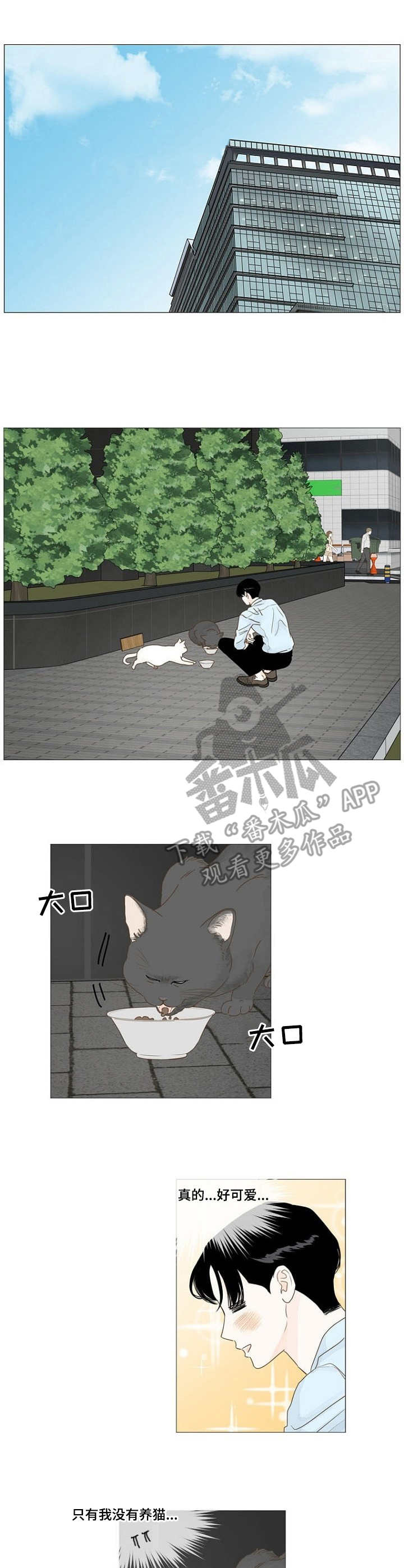 第16章：喂猫3