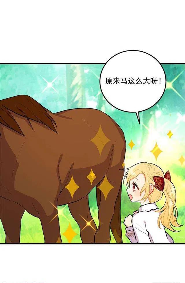 精灵石4