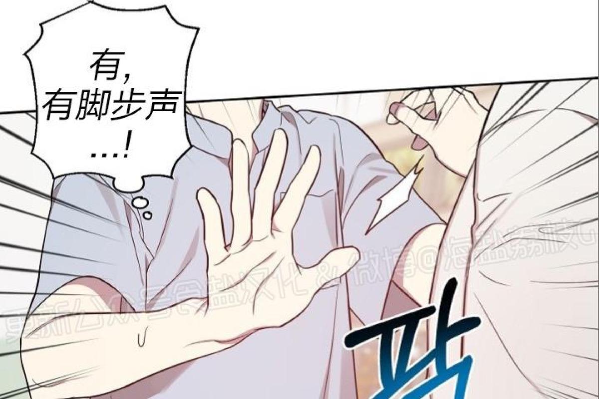 本命突然出现解说全集漫画,第16话4图