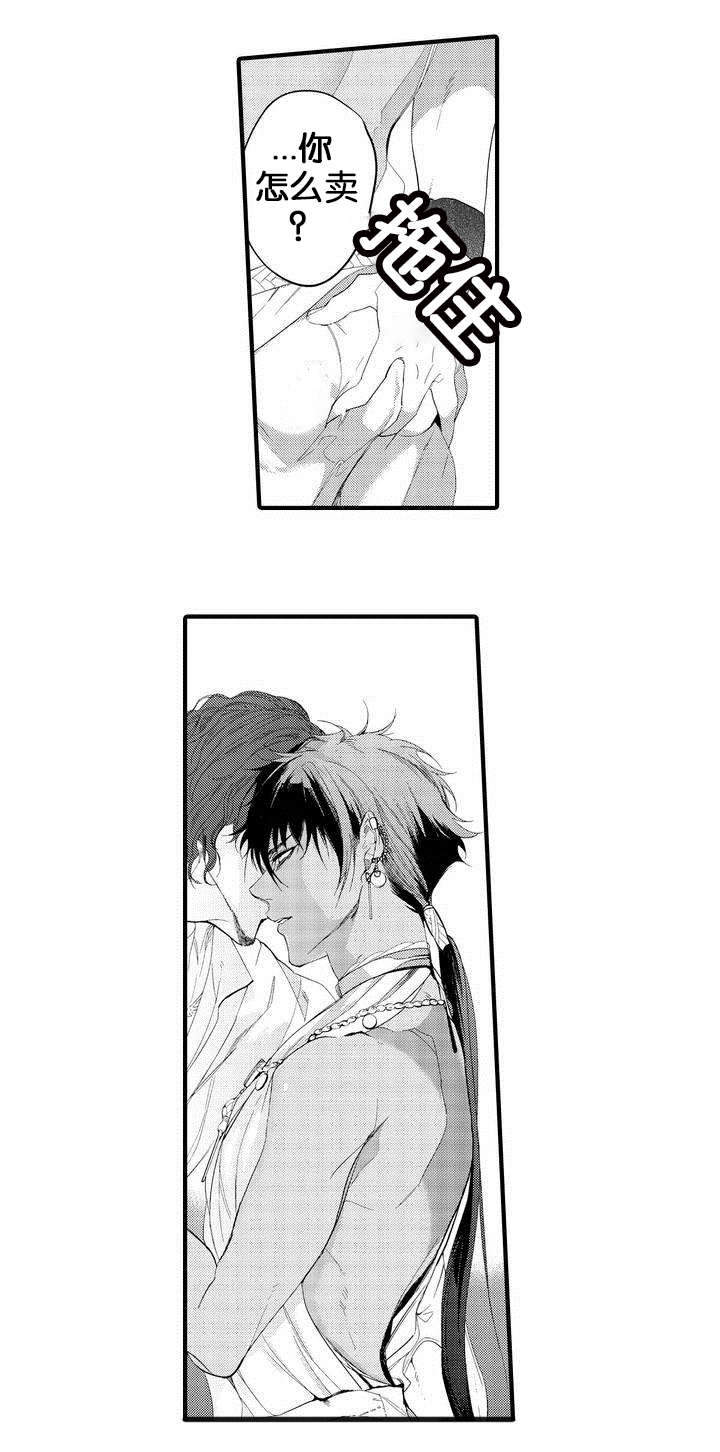 撒哈拉沙漠的猫科动物漫画,第1话2图