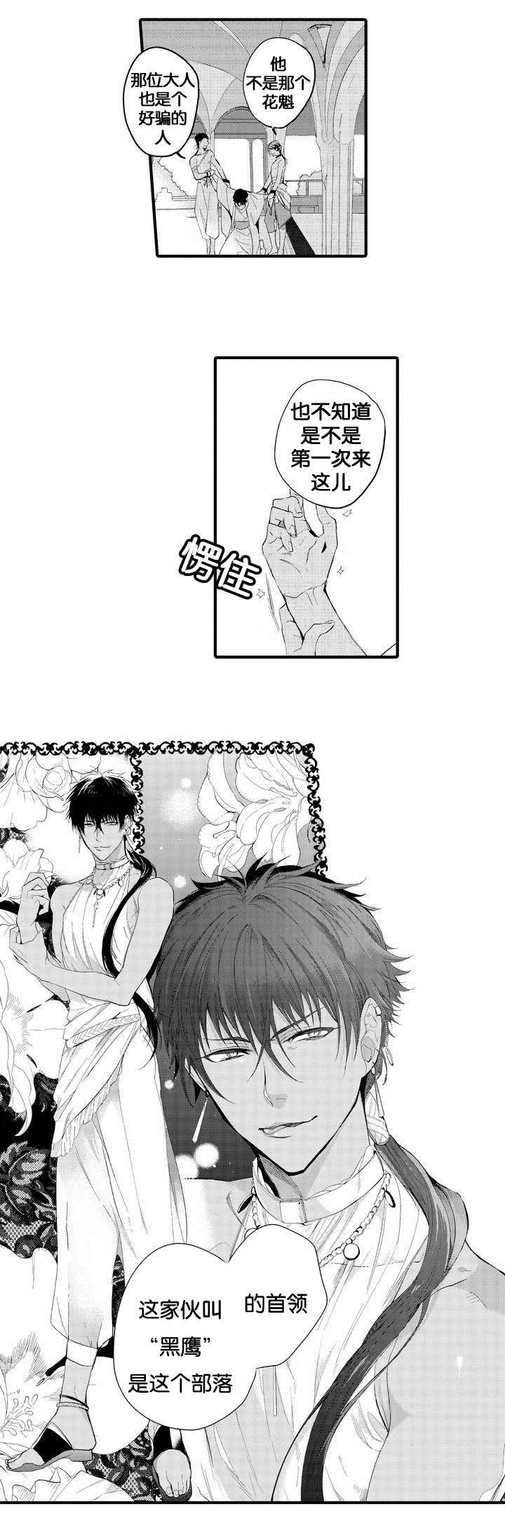 撒哈拉沙漠的猫科动物漫画,第1话4图