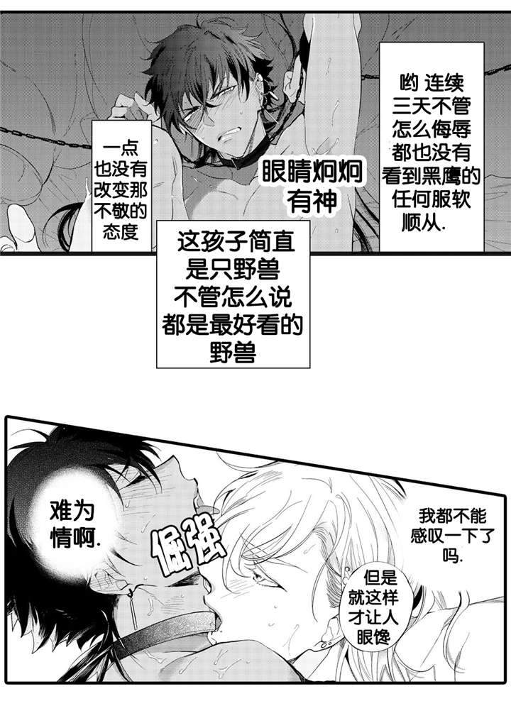 撒哈拉沙漠阻击战国语漫画,第6话2图