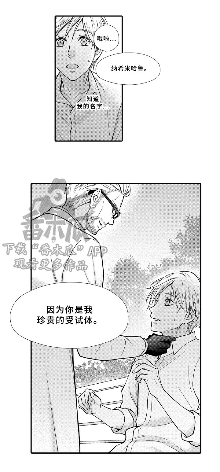 第21章：寻找1
