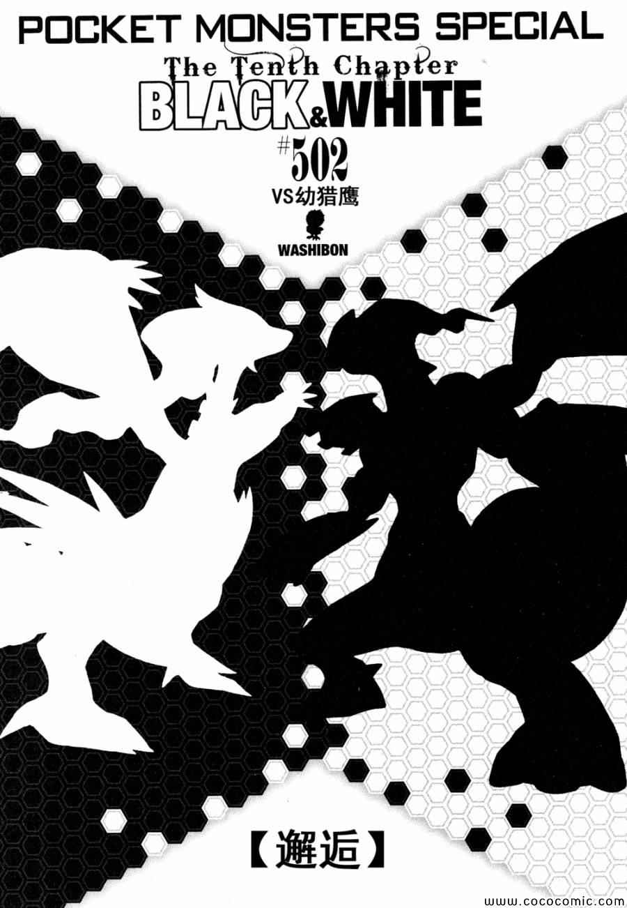神奇宝贝特别篇漫画全集下拉式漫画,第502话VS幼猎鹰1图