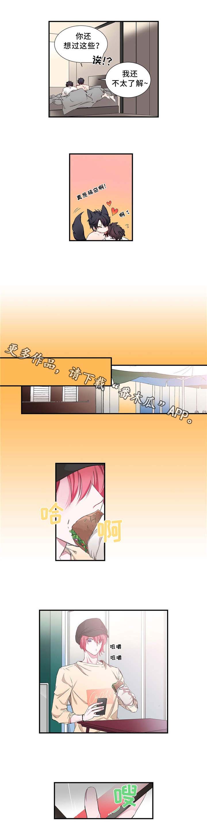 第13章：咨询1