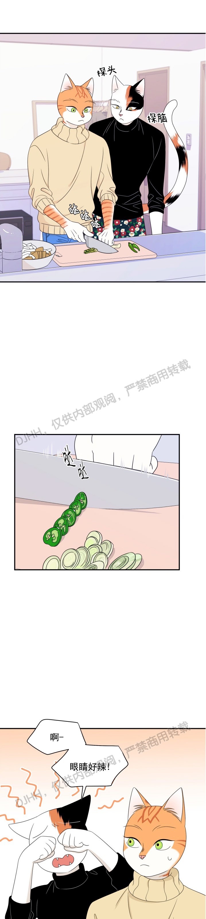 第05话0