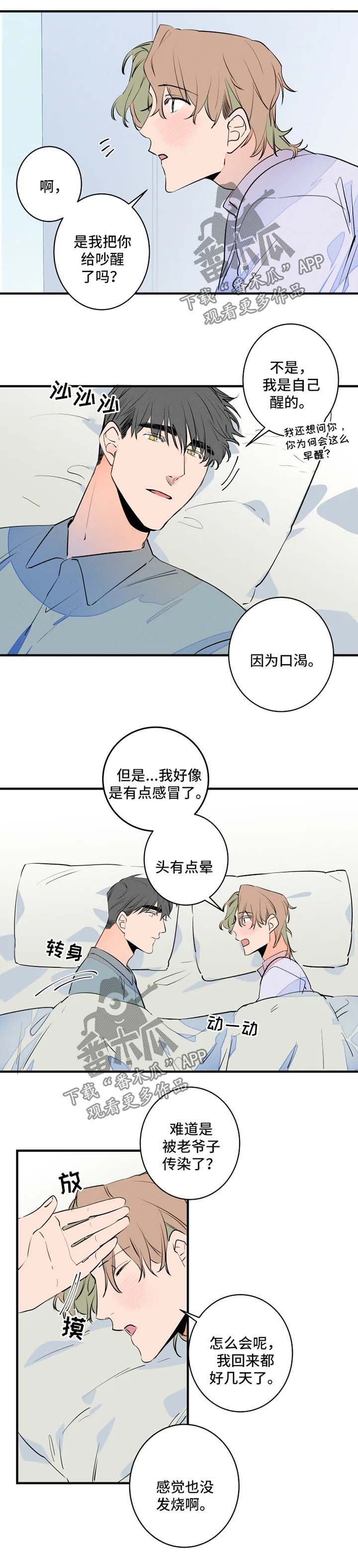 结婚合金筷子漫画,第44章：悠着点3图
