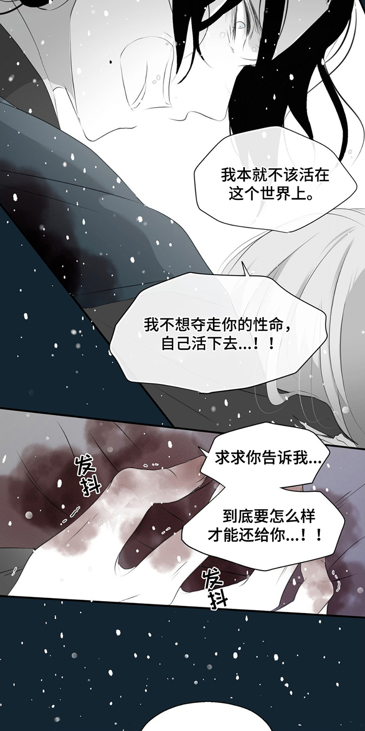 狐狸的夏天电视剧全集下载漫画,第22话5图