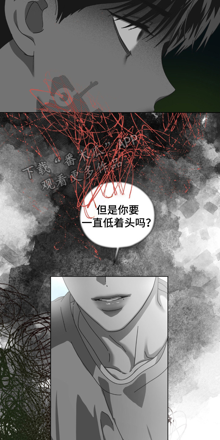 在深圳合租的日子里完整版漫画,第61话2图