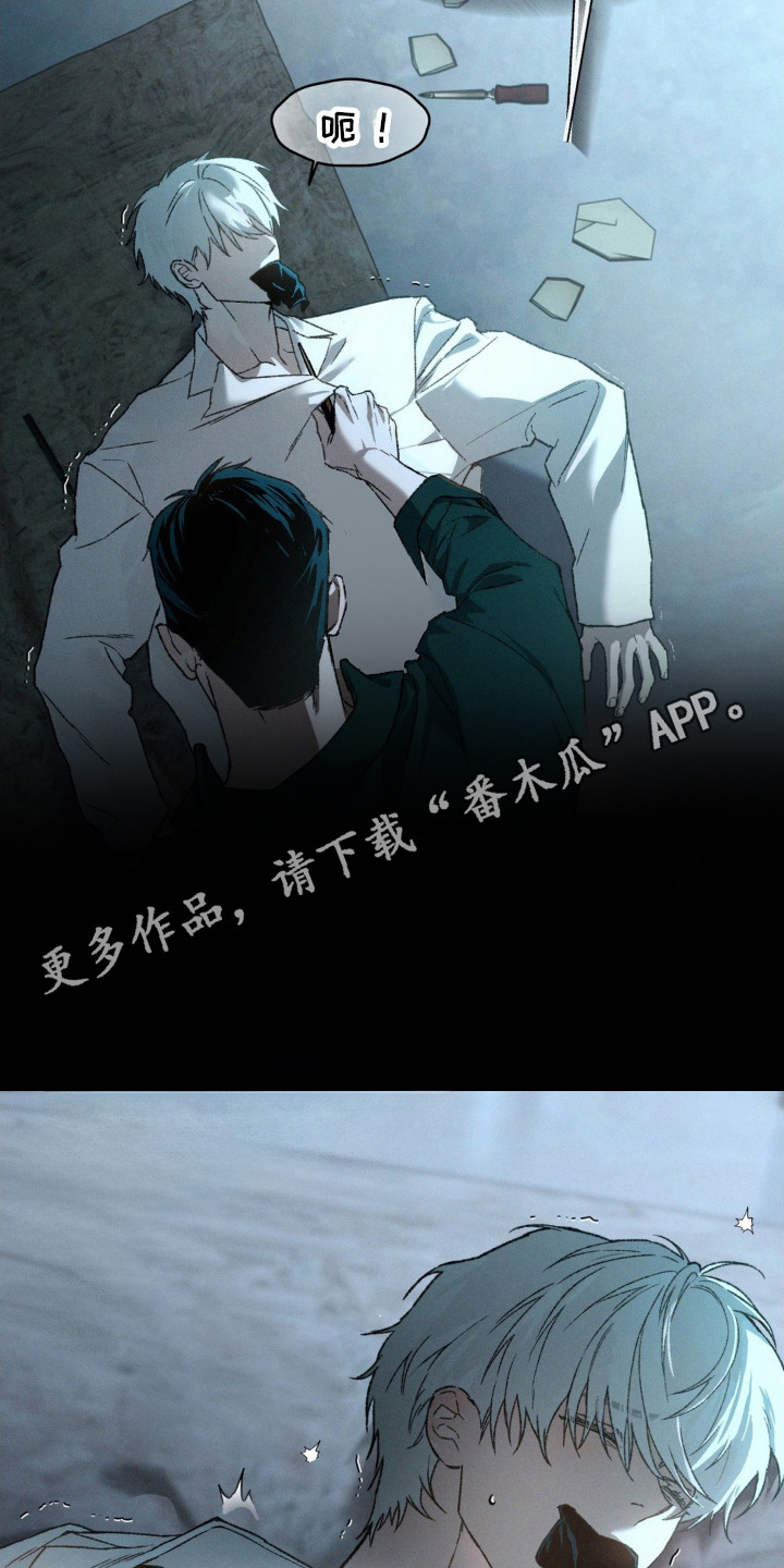 ss隐藏美人在哪里看漫画,第1话5图