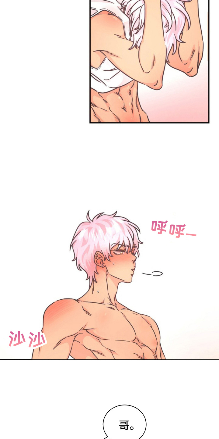 我的爱豆会发光全文免费阅读无弹窗漫画,第17话3图