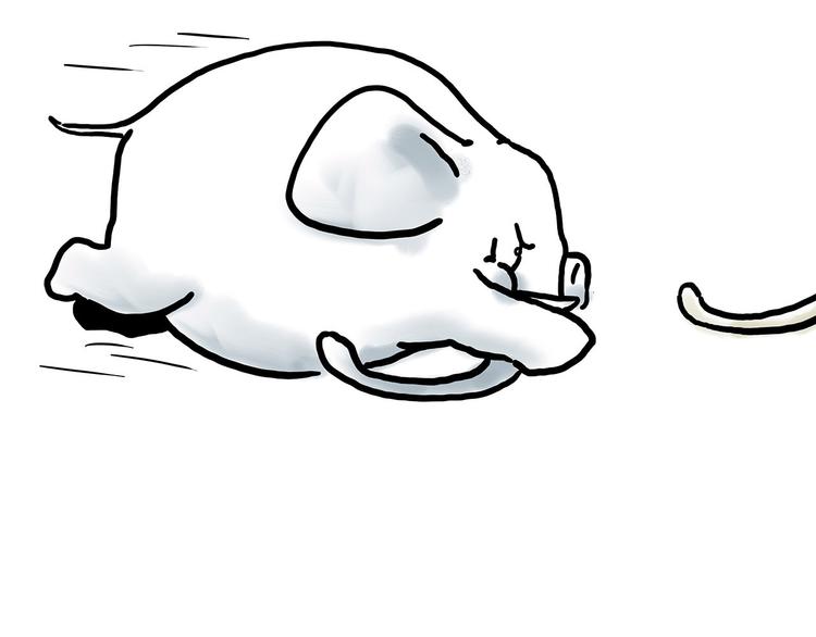 绘心图片漫画,舞狮迎新年4图