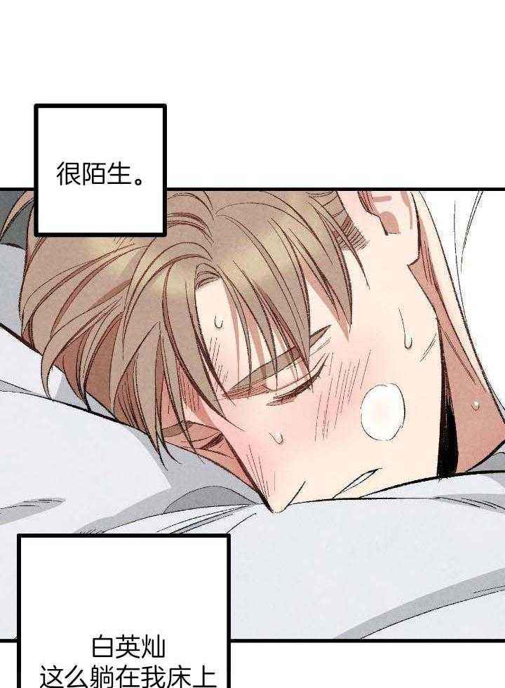完美密友免费观看漫画,第75话1图