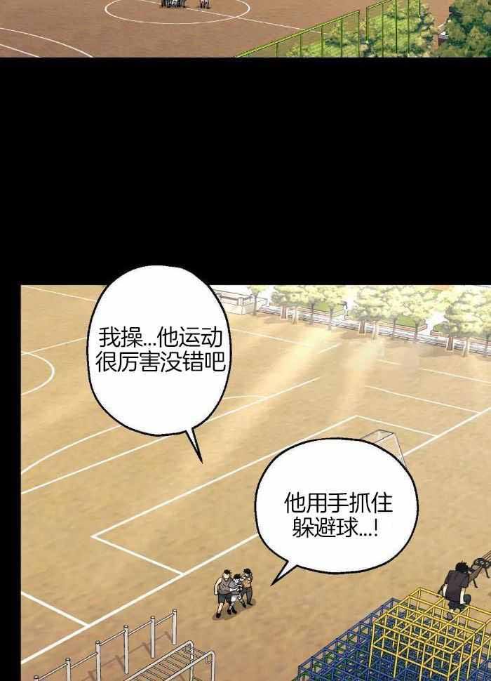 坠入爱河的杀手漫画免费漫画,第79话3图
