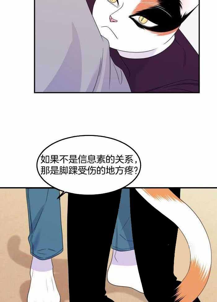 蓝色计划兵力对比漫画,第59话5图