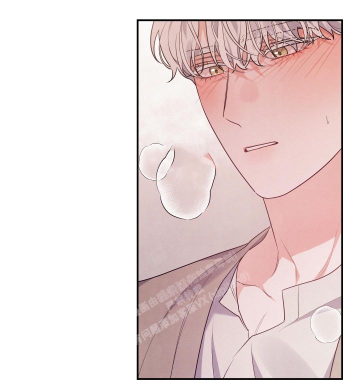 狗狗的恋爱漫画在哪看漫画,第30话3图