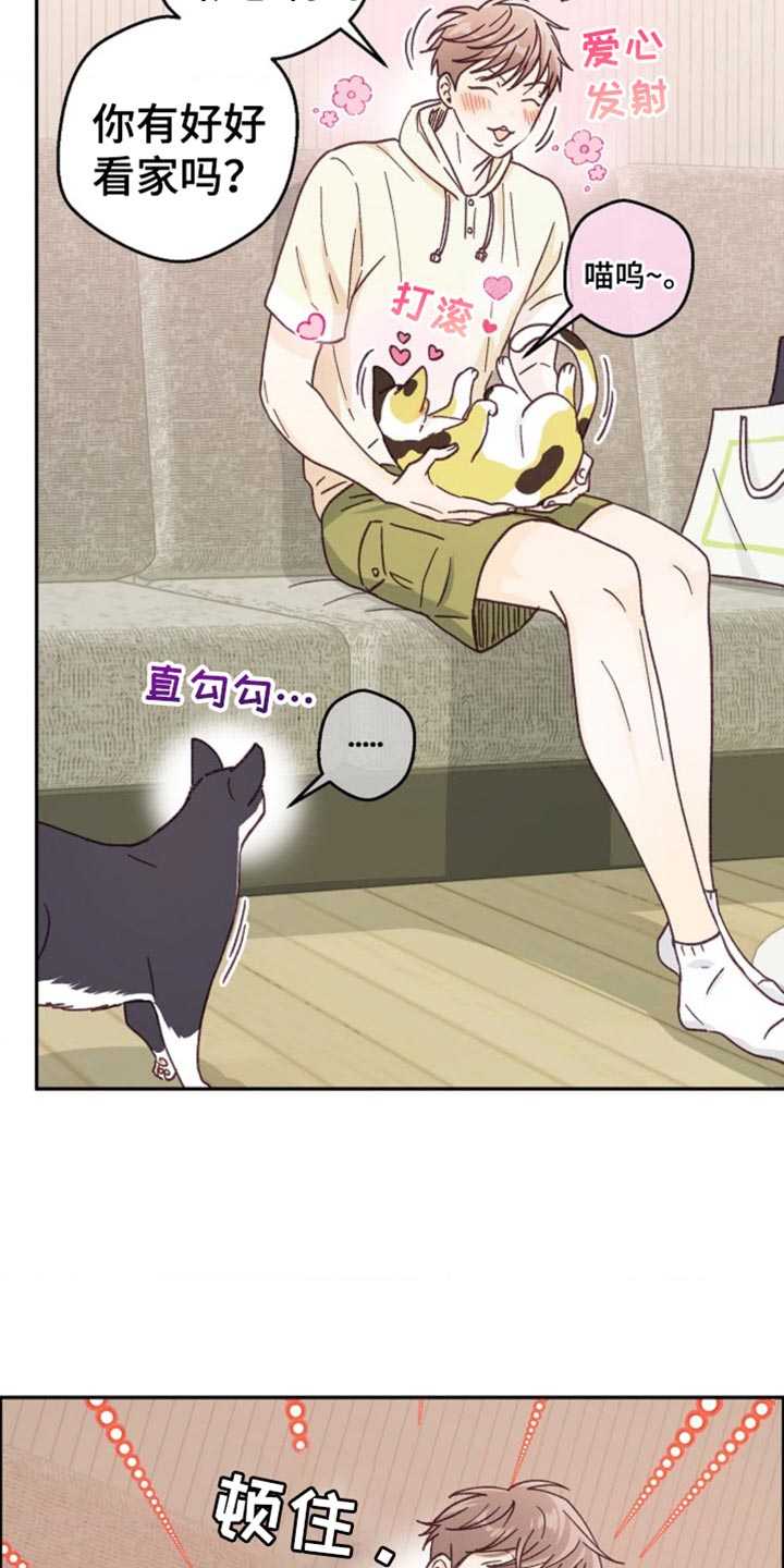 吃掉小可爱漫画,第73话3图