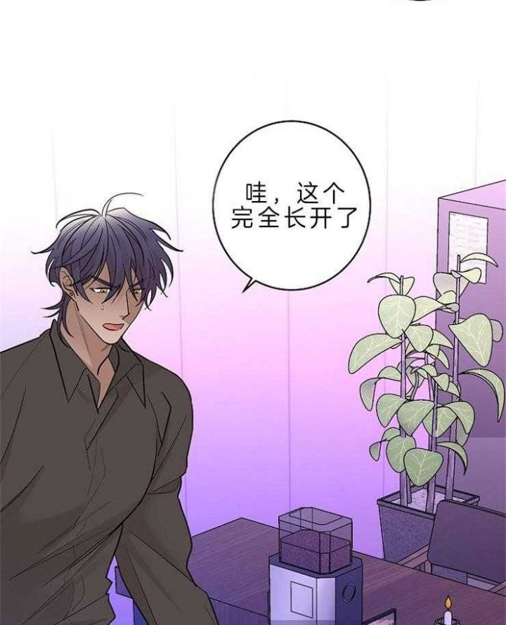 炒过的豆子会发芽吗资源漫画,第13话4图