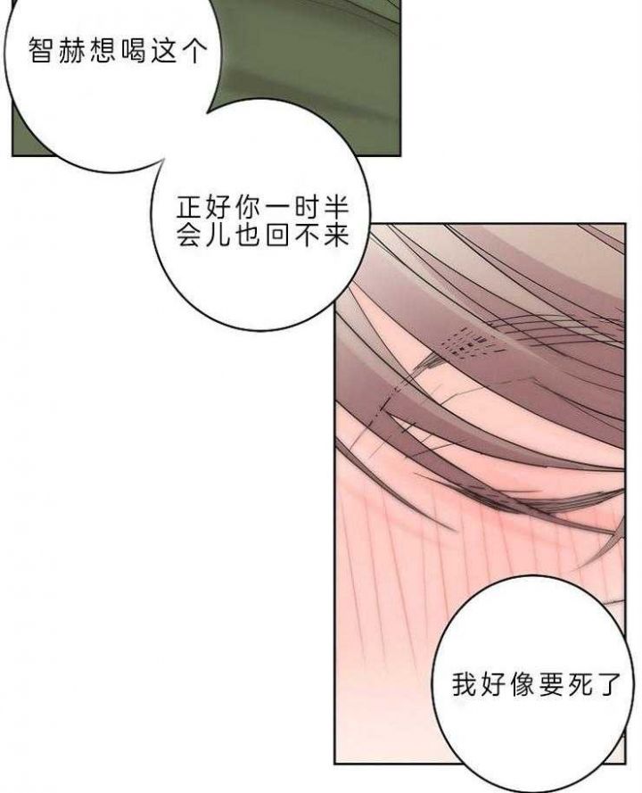炒过的豆子会发芽吗资源漫画,第13话3图