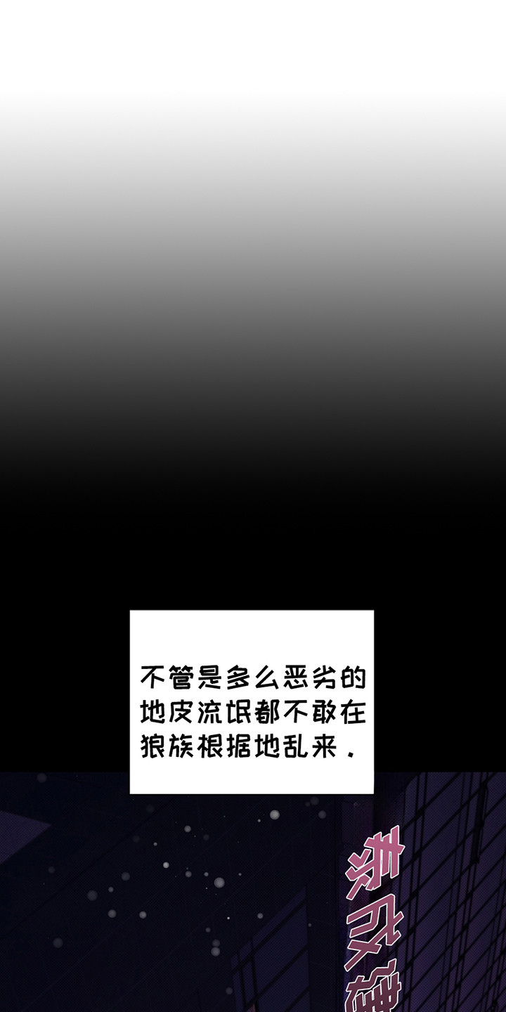 小白狗奇遇记一口气看完系列漫画,第20话1图