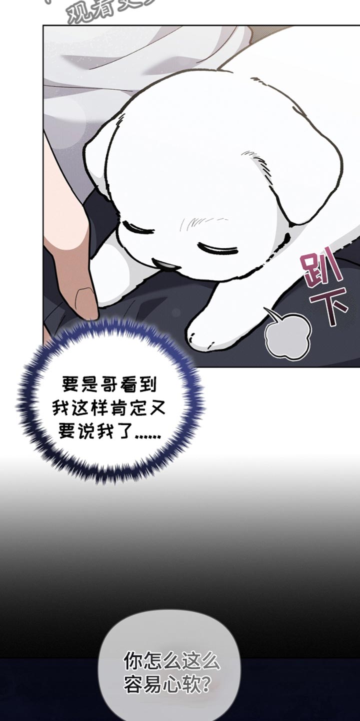 小白狗奇遇记一口气看完系列漫画,第29话5图