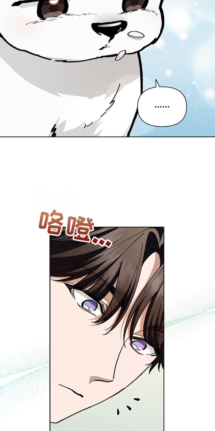 小白狗奇遇记一口气看完系列漫画,第29话3图